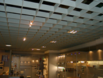 grid ceilings