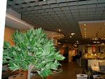 M&ouml;belhausgestaltung